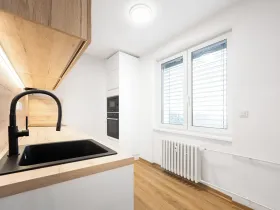 Prodej bytu 1+1, Brno, Svatopluka Čecha, 40 m2