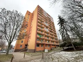 Pronájem bytu 2+1, Bílina - Pražské Předměstí, Aléská, 49 m2