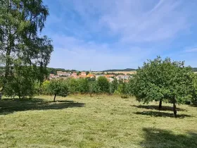 Prodej pozemku pro bydlení, Vlachovo Březí, 16463 m2