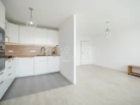 Pronájem bytu 3+kk, Praha - Prosek, Litvínovská, 67 m2