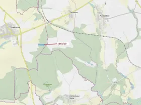 Dražba lesa, Stehlovice, 11078 m2