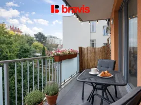 Pronájem bytu 1+kk, Brno - Staré Brno, Úvoz, 47 m2