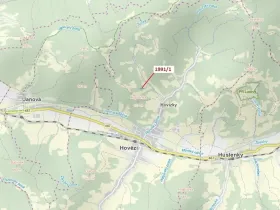 Dražba lesa, Hovězí, 2438 m2