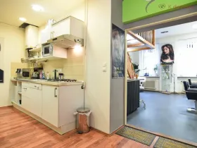 Prodej bytu 2+1, Brno - Staré Brno, Hybešova, 79 m2