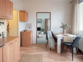 Prodej bytu 1+1, České Budějovice - České Budějovice 3, Plzeňská, 30 m2