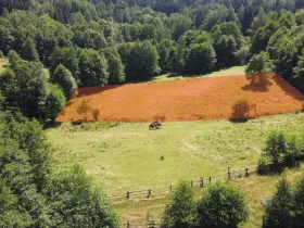 Prodej pozemku pro bydlení, Olešnice v Orlických horách, 3446 m2