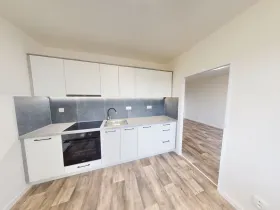 Pronájem bytu 1+1, Ostrava, Gen. Hrušky, 38 m2