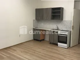 Pronájem bytu 1+kk, Praha - Karlín, Šaldova, 25 m2