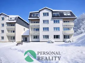 Pronájem bytu 1+1, Planá, Bohušova, 55 m2