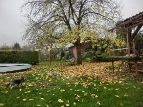 Prodej rodinného domu, Staré Město, 170 m2