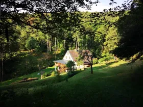 Prodej chalupy, Stráž nad Ohří - Srní, 300 m2