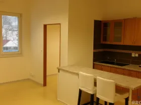 Pronájem bytu 2+kk, Brno, Opavská, 46 m2