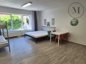 Pronájem bytu 1+kk, České Budějovice, Skuherského, 45 m2