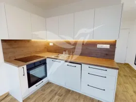 Pronájem bytu 1+1, Plzeň, Lábkova, 46 m2