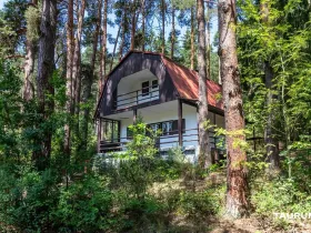 Prodej chaty, Stříbro - Butov, 73 m2