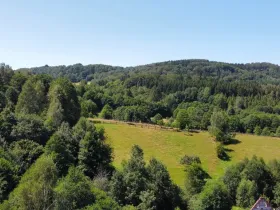Prodej pozemku pro bydlení, Olešnice v Orlických horách, 4589 m2