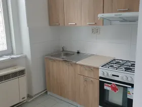 Pronájem bytu 1+1, Novosedlice, Malodrážní, 50 m2
