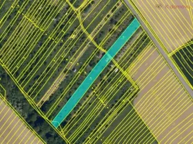 Prodej zahrady, Kunovice, Pod Kostelem, 3859 m2