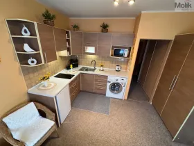 Pronájem bytu 1+1, Most, Marš. Rybalka, 35 m2