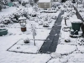 Prodej zahrady, Jirkov, 356 m2