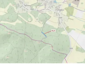 Dražba lesa, Pačejov, 1363 m2