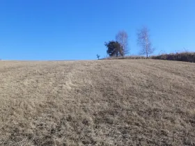 Dražba louky, Kunžak, 5258 m2