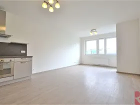 Pronájem bytu 2+kk, Praha - Žižkov, V zahrádkách, 55 m2