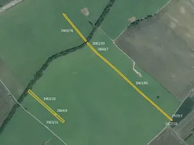 Prodej pole, Moravská Nová Ves, 5711 m2