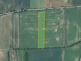 Prodej pole, Milotice, 7763 m2
