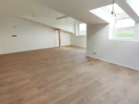 Pronájem bytu 3+kk, Mladá Boleslav, Mileny Hážové, 94 m2