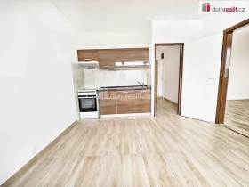 Pronájem bytu 1+1, Verneřice, Příbramská, 35 m2