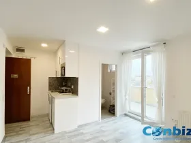 Pronájem bytu 1+kk, Praha - Nusle, Doudlebská, 30 m2