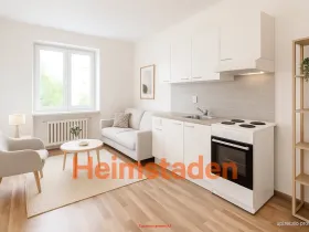 Pronájem bytu 1+kk, Havířov - Město, Alšova, 27 m2