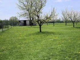 Prodej pozemku, Turovice, 878 m2