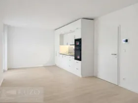 Pronájem bytu 2+kk, Brno, Auerswaldova, 47 m2