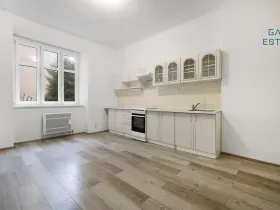 Pronájem bytu 1+1, Brno, Rybníček, 63 m2