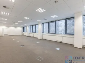Pronájem kanceláře, Praha - Holešovice, U Pergamenky, 116 m2