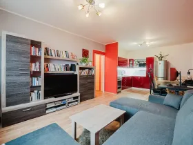 Prodej bytu 2+kk, Brno, Svážná, 47 m2