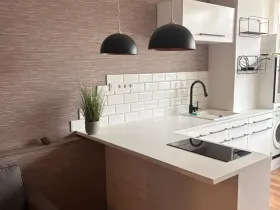 Pronájem bytu 1+kk, Teplice, U divadla, 38 m2