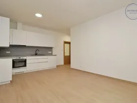 Pronájem bytu 3+kk, Plzeň, Goethova, 65 m2