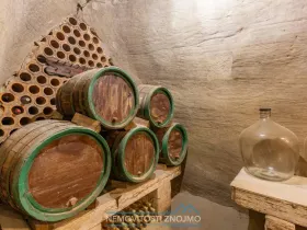 Prodej vinného sklepa, Dobšice, Leska, 25 m2