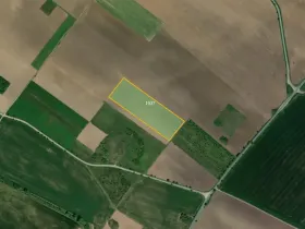 Prodej pole, Znojmo, 25300 m2