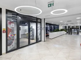 Pronájem obchodního prostoru, Praha, Sokolovská, 363 m2