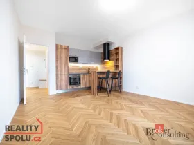 Pronájem bytu 2+kk, Brno - Staré Brno, Nové sady, 59 m2