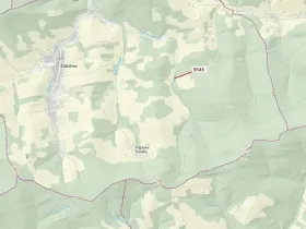 Dražba lesa, Zděchov, 1866 m2