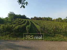 Prodej pozemku, Mutěnice, 3399 m2