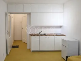 Pronájem bytu 1+kk, Praha - Nusle, Petra Rezka, 22 m2