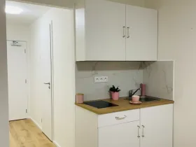 Pronájem bytu 1+kk, Praha - Chodov, Čenětická, 24 m2