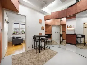 Prodej bytu 1+1, Praha - Žižkov, Baranova, 49 m2