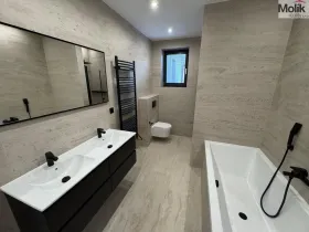 Pronájem rodinného domu, Most, Mátová, 97 m2